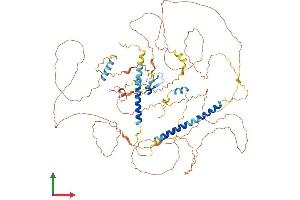 AlphaFold protein structure predicition of Human Recombinant DACT2 Protein, UniprotID Q5SW24