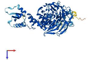GAN Protein (AA 1-597) (His tag)