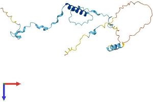 POLR3G Protein (AA 1-223) (His tag)