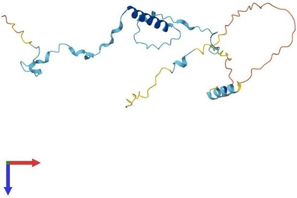 POLR3G Protein (AA 1-223) (His tag)