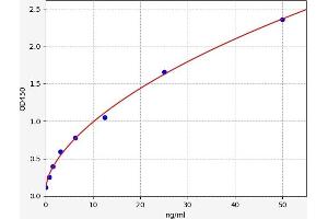 Typical standard curve