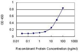 Detection limit for recombinant GST tagged PRKX is 1 ng/ml as a capture antibody. (PRKX Antikörper  (AA 269-358))
