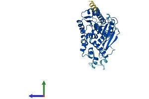 Protein Structure (PS) image for Abhydrolase Domain Containing 2 (ABHD2) (AA 1-425) protein (His tag) (ABIN7561752)