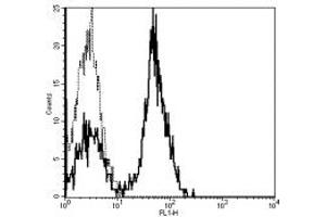 Image no. 1 for anti-CD28 (CD28) antibody (FITC) (ABIN474159) (CD28 Antikörper  (FITC))