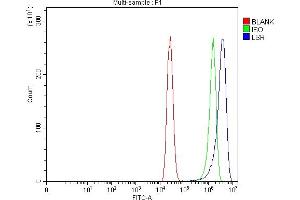 Flow Cytometry analysis of MCF-7 cells using anti-LSR antibody (ABIN7600186). (LSR Antikörper  (AA 16-633))