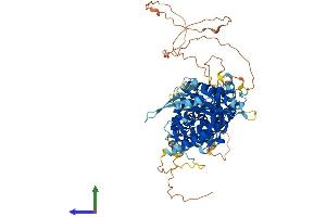 Protein Structure (PS) image for Bardet-Biedl Syndrome 12 (BBS12) (AA 1-708) protein (His tag) (ABIN7557534)