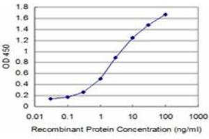 Detection limit for recombinant GST tagged HEY1 is approximately 0. (HEY1 Antikörper  (AA 121-220))