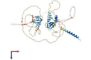 RNF180 Protein (AA 1-592) (His tag)