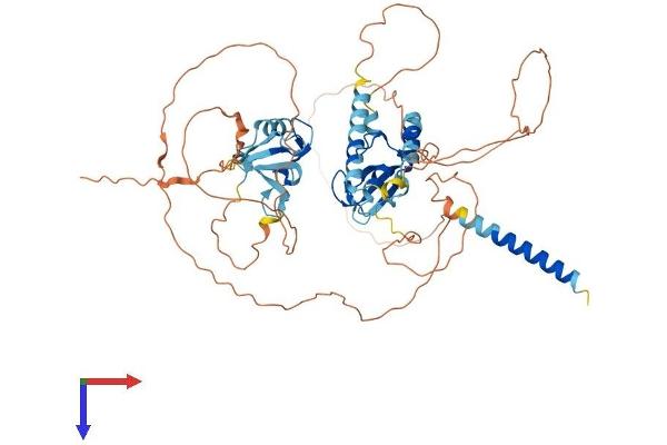 RNF180 Protein (AA 1-592) (His tag)