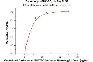 ELISA image for Guanylate Cyclase 2C (Heat Stable Enterotoxin Receptor) (GUCY2C) (AA 24-430) (Active) protein (His tag) (ABIN7013472)