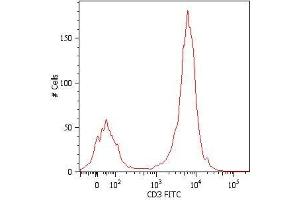 Surface staining of human peripheral blood cells with anti-human CD3 (MEM-57) FITC. (CD3 Antikörper  (FITC))
