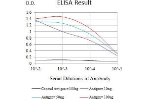 Black line: Control Antigen (100 ng),Purple line: Antigen (10 ng), Blue line: Antigen (50 ng), Red line:Antigen (100 ng) (ITGAL Antikörper  (AA 26-194))