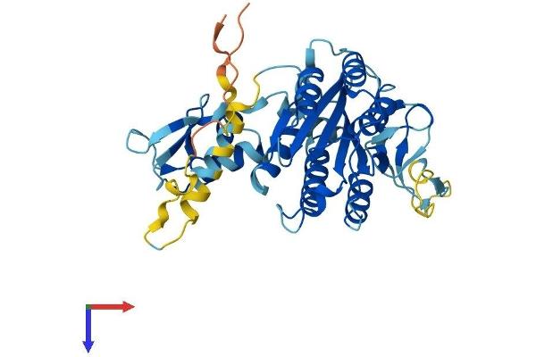 GTF2H2 Protein (AA 1-395) (His tag)