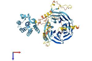 TAF5L Protein (AA 1-589) (His tag)
