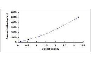 ELISA image for S100 Calcium Binding Protein A12 (S100A12) ELISA Kit (ABIN6574251)