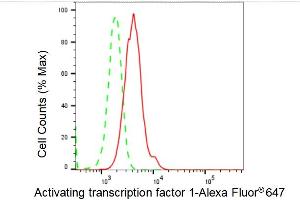 Flow cytometric analysis of Activating transcription factor 1 expression in HepG2 cells using Activating transcription factor 1 antibody (ABIN7797478), 1:2,000). (Rekombinanter AFT1 Antikörper)