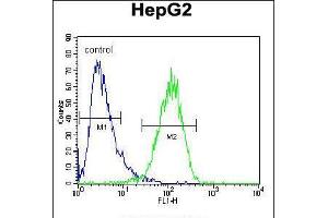 Flow cytometric analysis of HepG2 cells (right histogram) compared to a negative control cell (left histogram). (Hexosaminidase A Antikörper  (AA 315-343))