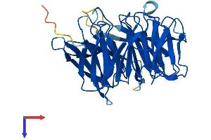 DCAF7 Protein (AA 1-342) (His tag)