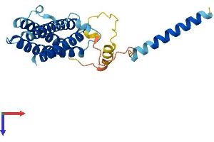 Regulator of G Protein Signaling 9 Binding Protein (RGS9BP) (AA 1-235) protein (His tag)