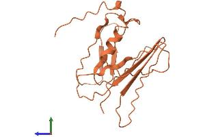 AlphaFold protein structure predicition of Human Recombinant FAM106A Protein, UniprotID Q4KMX7