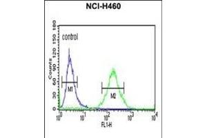 X Antibody (C-term) (ABIN652730 and ABIN2842484) flow cytometric analysis of NCI- cells (right histogram) comred to a negative control cell (left histogram). (XPA Antikörper  (C-Term))