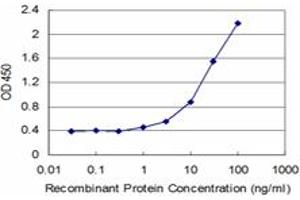 Detection limit for recombinant GST tagged SYN1 is approximately 3ng/ml as a capture antibody. (SYN1 Antikörper  (AA 362-450))