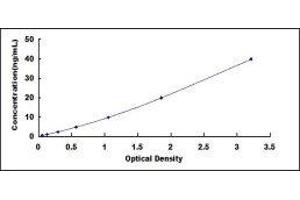 ELISA image for Solute Carrier Family 2 (Facilitated Glucose Transporter), Member 4 (SLC2A4) ELISA Kit (ABIN431647)