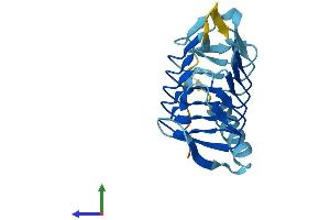 Protein Structure (PS) image for Dynactin 5 (p25) (DCTN5) (AA 1-182) protein (His tag) (ABIN7546980)