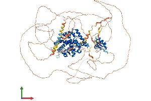 Protein Structure (PS) image for Nuclear Receptor Subfamily 3, Group C, Member 2 (NR3C2) (AA 1-978) protein (His tag) (ABIN7564774)