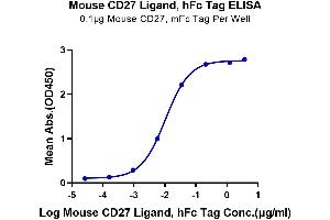 Immobilized Mouse CD27, mFc Tag at 1 μg/mL (100 μL/Well) on the plate. (CD70 Protein (AA 45-195) (Fc Tag))