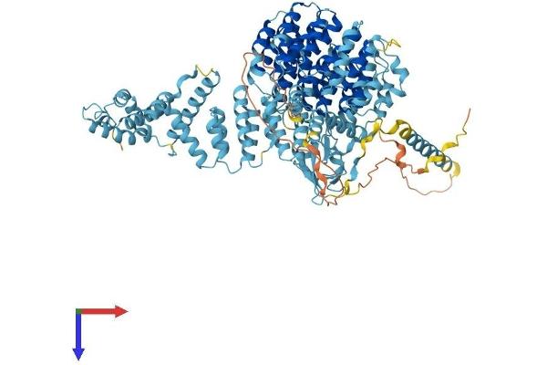 PSMD1 Protein (AA 1-953) (His tag)