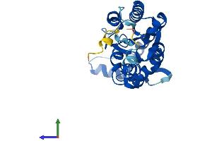 Protein Structure (PS) image for Isoamyl Acetate-Hydrolyzing Esterase 1 Homolog (IAH1) (AA 1-249) protein (His tag) (ABIN7561256)