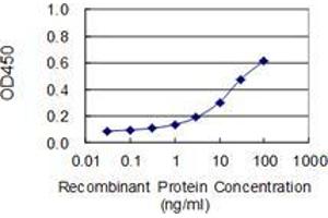 Detection limit for recombinant GST tagged OBSCN is 0. (Obscurin Antikörper  (AA 1551-1649))