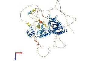 MYSM1 Protein (AA 1-819) (His tag)