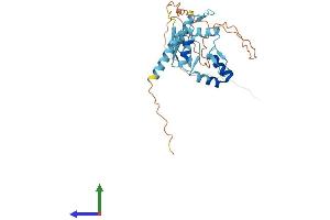 Protein Structure (PS) image for Ovo-Like 2 (OVOL2) (AA 1-274) protein (His tag) (ABIN7559382)