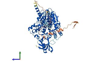 Protein Structure (PS) image for Myotubularin Related Protein 6 (MTMR6) (AA 1-621) protein (His tag) (ABIN7549566)