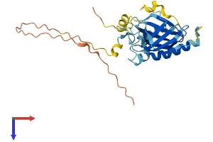 TPRG1L Protein (AA 1-266) (His tag)