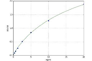 Trimethyllysine Hydroxylase, epsilon (TMLHE) ELISA Kit