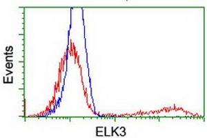 HEK293T cells transfected with either RC203114 overexpress plasmid (Red) or empty vector control plasmid (Blue) were immunostained by anti-ELK3 antibody (ABIN2455035), and then analyzed by flow cytometry. (ELK3 Antikörper)
