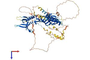 RTKN2 Protein (AA 1-604) (His tag)