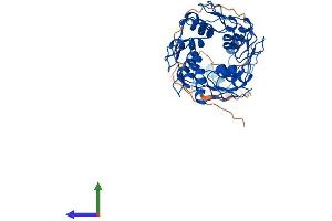 Protein Structure (PS) image for ZFP2 Zinc Finger Protein (ZFP2) (AA 1-461) protein (His tag) (ABIN7545293)