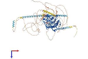 HDAC5 Protein (AA 1-1113) (His tag)