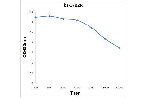 ELISA image for anti-Complement Component (3d/Epstein Barr Virus) Receptor 2 (CR2) (AA 981-1092) antibody (ABIN704186)