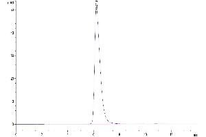 Size-exclusion chromatography-High Pressure Liquid Chromatography (SEC-HPLC) image for Poliovirus Receptor (PVR) (AA 21-343) protein (Fc Tag) (ABIN7274071)