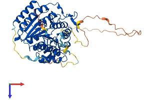 HDAC1 Protein (AA 1-482) (His tag)