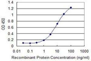 Detection limit for recombinant GST tagged RHOBTB3 is 0.