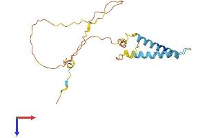 TMEM134 Protein (AA 1-195) (His tag)