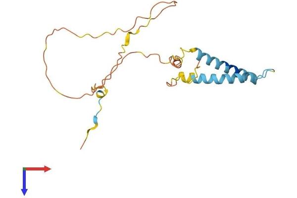 TMEM134 Protein (AA 1-195) (His tag)