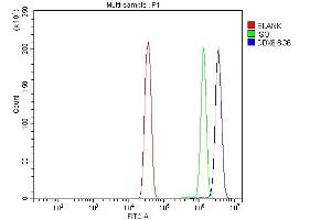 Flow Cytometry analysis of Hela cells using anti-DDX6 antibody (ABIN7602043).