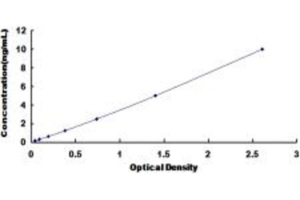 Envoplakin ELISA Kit